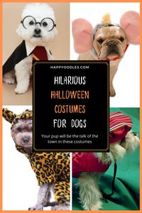 Halloween isn't just for people, our canine companions want in on the fun too. Or at least that is what their humans want. If you are a dog lover who wants to show off your dog in style this post is for you. Join us as we take a look at some hilarious, over the top Halloween costumes available for dogs this year. We updated this list for Halloween 2020 to include even more hilarious halloween costumes for dogs. (#Halloweencostumesfordogs, #Doghalloweencostumes, #Halloweencostumes)