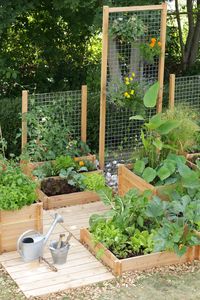 Trellis in raised bed