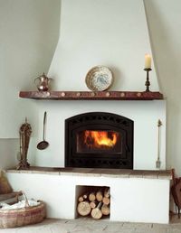Wood stove fireplace insert