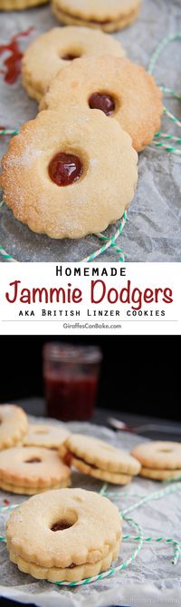 Homemade Jammie Dodgers by Giraffes Can Bake - Buttery shortbread cookies sandwiched with homemade Strawberry Jam. The classic British snack, beloved by the Eleventh Doctor. Britain's answer to the Linzer Cookie