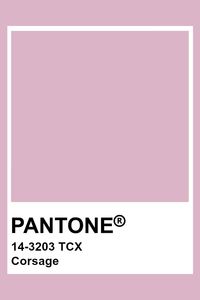 PANTONE 14-3203 TCX Corsage #pantone #color