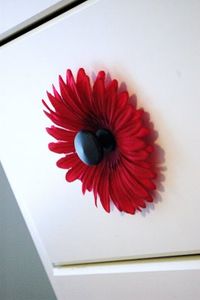 Add silk flowers behind the knob...cute for a lil girls room!