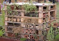 Dishfunctional Designs: God Save The Pallet! Reclaimed Pallets Revamped