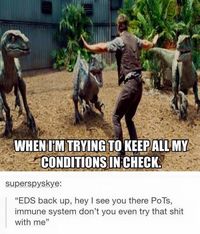 BP2, anxiety, genetic high cholesterol, hypothyroidism, PMDD, vitamin deficiencies...