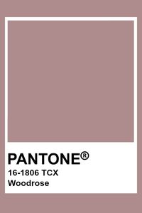 pantone 16-1806 - Google Search