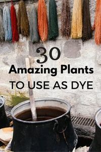30dyeplants More