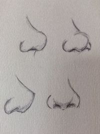 How to Draw a Sea Turtle Handout