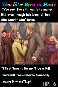 Harry Potter and the Half-Blood Prince Should've Been in Movie Tonks Lupin Romance hospital wing Bill Weasley Fleur Mrs. Weasley hug