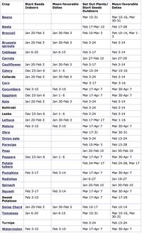 What to plant in Dallas and when to plant it! It's time to think about spring and summer gardening!