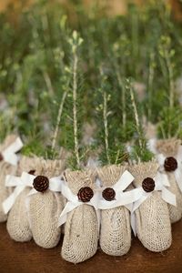 Tree saplings wrapped in burlap and tied with twine are eco-friendly wedding favors | Brides.com