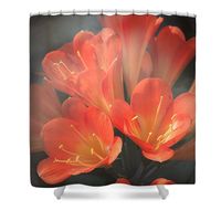Floral Beauty Shower Curtain by Mary Lee Dereske. This shower curtain is made from 100% polyester fabric and includes 12 holes at the top of the curtain for simple hanging. The total dimensions of the shower curtain are 71" wide x 74" tall.