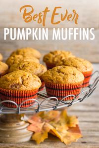 I'm telling you, these pumpkin muffins are the best I've ever tasted! Perfectly sweet with just a little spice and anything but dry!