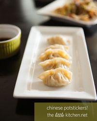 Chinese Potstickers