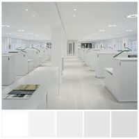 Achromatic all-white office interior. While this interior design has aesthetic values, the all-white colour scheme has some downsides. This interior may be difficult to 'read' from an environmental visual literacy perspective for older people and those with diminishing visual capacity. Colour illustration by Zena O’Connor, PhD.