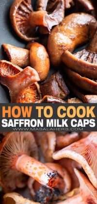 Sauteed Saffron Milk Cap Recipe - How to prep and cook them and what they are. Also difference between saffron milk caps and fake saffron milk caps. enjoy your vegan and healthy mushrooms with a selection of dishes. I share servings ideas. www.MasalaHerb.com