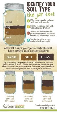 Must take a look at these gardening hacks and DIY ideas to make gardening easier and more fun!