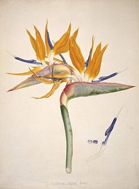 The art of science - in pictures | Culture | The Guardian