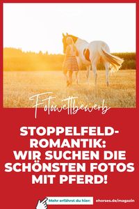 Zeige uns Dein schönstes Stoppelfeldbild und gewinne Dein Foto auf Leinwand oder individuelle Postkarten mit Deinem Stoppelfeld-Foto.