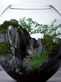 http://www.vivavoce-designs.com/blog/2012/12/13/a-world-within.html