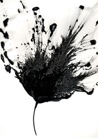 Black White Art Abstract Flower Painting 5x7 by GalleryZooArt