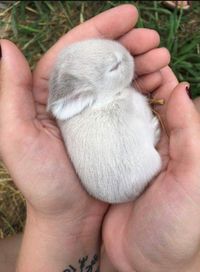 Sleeping peacefully - more at superhuggable.com