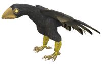 Archaeopteryx