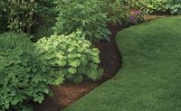 How to Create Perfect Edges for Your Garden Beds and Borders