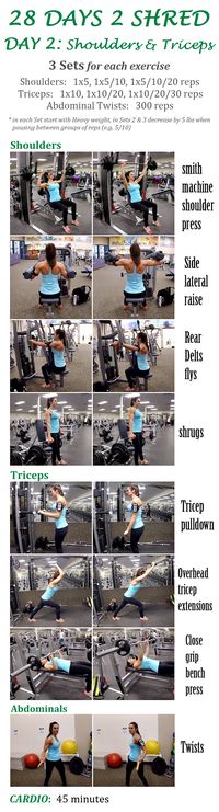 28 DAYS 2 SHRED DAY 2: SHOULDERS AND TRICEPS