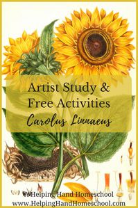 Artist Study and Free Activities: Carolus Linnaeus from www.HelpingHandHomeschool.com #art #arthistory #unitstudy #homeschool #STEM