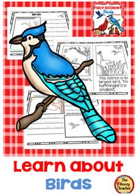 Let your students fly into the fascinating world of hummingbirds and ostriches. A great way to inspire a love for nature and bird watching is to let students explore their worlds using this fact booklet! This non-fiction book on birds is a great resource to use for doing a research project on birds with your pre-k/kindergarten class. Included in this product is a black and white informational book about birds, a worksheet for note-taking and the research form to be filled out by the child.