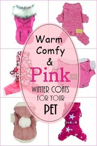Keep your fur baby warm and in style in one of these cute PINK winter pet coats in a variety of styles. #petcoats #dogcoat #pinkpetclothes #cutedogclothes #dogsweater