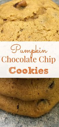 This is an easy recipe for pumpkin chocolate chip cookies. They are moist, hit the spot, and easy to make. Chances are, you have most, if not all of the ingredients, right there in your kitchen. they are a delicious addition to all of your fall pumpkin treats.