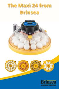 Get into Hatching Week with the new Maxi 24 from Brinsea, available in Advance and EX. The popular Maxi II has been redesigned to hold more eggs and be even more flexible. With the innovative mix-and-match egg disk quadrant system you can hatch even more eggs, or hatch eggs of different species at the same time. This pin is sponsored by Brinsea.
