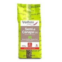 Semi di canapa BIO