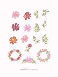 Hand Painted Cosmos Florals Clipart Pink Flower Illustration - Etsy