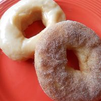 These old-fashioned apple cider and cinnamon donuts are perfect for a fall treat but just as delicious any time of the year!