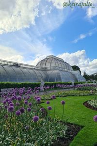 The palm house Kew Gardens is beautiful, the Kew Gardens London is a stunning place to visit. The Kew Gardens aesthetic is lovely, the Kew Gardens greenhouse is a must see palm house, royal botanic gardens, kew.