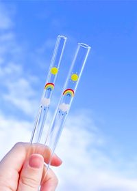 Rainbow Glass Straw | Shopzoki