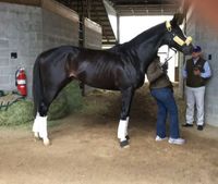 Honor Code