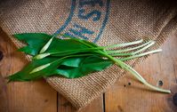 L'ail des ours : qu'est-ce que c'est ? Comment le conserver ? Comment le cuisiner ? - Rose Citron