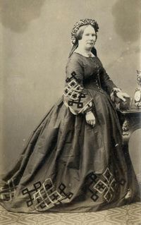 CDV: A woman wearing an embroidered hooped dress c.1860 | eBay