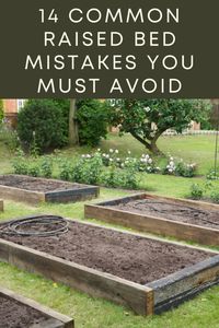 Are you planning a raised bed garden this year? Then you need to read this to make sure you avoid these surprisingly common mistakes.