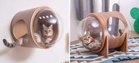 Para os amantes de gatos, camas para gatos inspiradas em nave espacial #nave #design #gatos