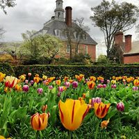 The beautfy of the gardens throughout Colonial Williamsburg make for a wonderful visit throughout the year! #ColonialWilliamsburg #VisitWilliamsburg www.VisitWilliamsburg.com
