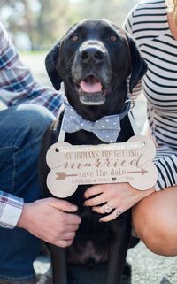 25+ Instagram-Worthy Ways to Include Your Dog in the Wedding BridalGuide