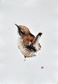 Wren by Karl Martens