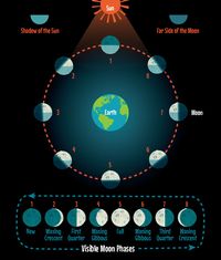 3 Unique Ways to Teach STEMists the Phases of the Moon
