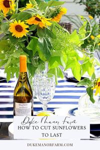 how to cut sunflowers so they last. easy simple tips you can do .