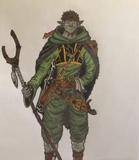 Firbolg Druid dnd 5e
