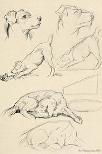 The 15 Greatest Tips on How to Draw for Beginners